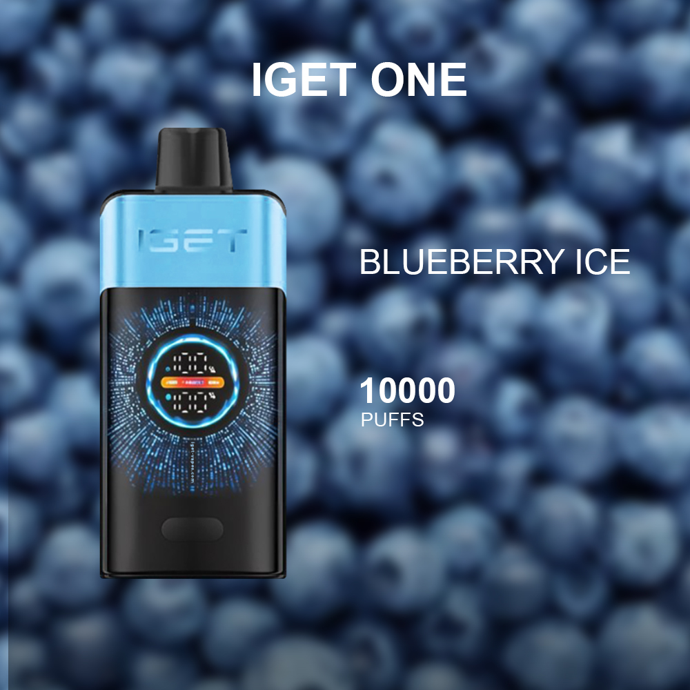 IGET ONE BLUEBERRY ICE β 12000 PUFFS